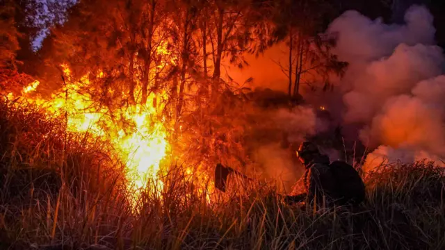 Kabut Asap Karhutla Meluas dari Sumatera hingga Papua, Seberapa Efektif Penanganan Pemerintah?